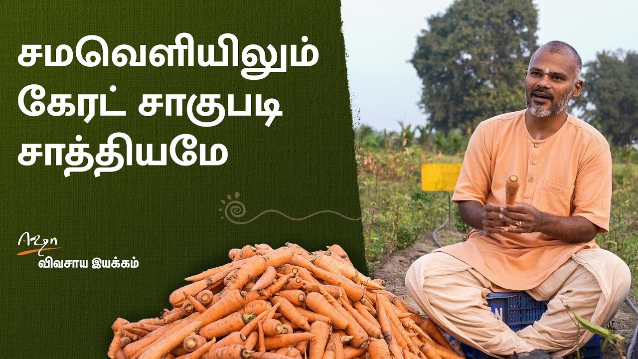 இயற்கையில் கேரட்  அசத்தும் ஈஷா விவசாய இயக்கம்