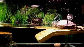 100_2163.MOV