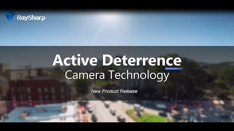 Raysharp Active deterrence full color IPC