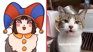 FUNNY CAT MEME ART COMPILATION V3 by Cat Memes 48,210 views 12 days ago 8 minutes, 31 seconds