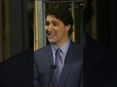 Trudeau: Poilievre is taking a 'flamethrower' to Canada's institutions #shorts #news