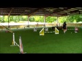 Masters Agility Handling Notes for Students Masters Agility Handling Notes for Students