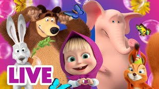 🔴 EN DIRECT 🐻👱🏻‍♀️ Masha et Miсhka ✨ Regardez TOUS les épisodes MAINTENANT ! 🏆👀