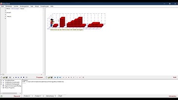 03 Programmieren lernen mit Robot Karol  - Bedingte Anweisungen