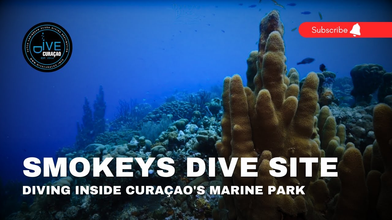 Scuba Diving at Smokeys Dive Site in Curaçao: Diving in the Curaçao National Marine Park
