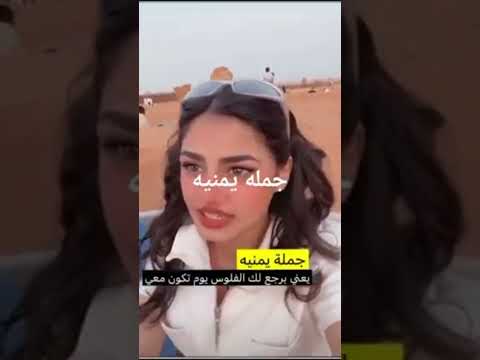 الهجه اليمنيه ششقي وشنديلك مشنكركش 
