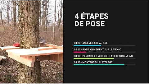 Comment faire une Plate-forme dans un arbre ?
