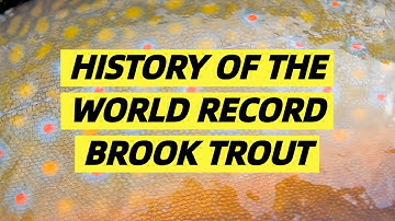 History of the World Record Brook Trout | Nipigon River