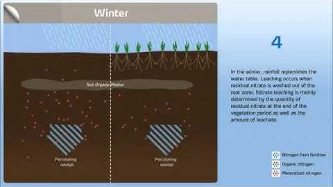 МАГАН-МАК принципали - Yara/How to control nitrogen leaching in the soil (Part 1)