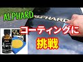 アルファード　コーティングに挑戦