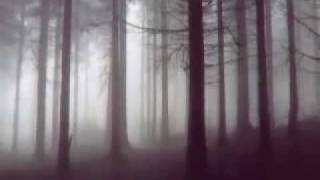 Video thumbnail of "Beautiful Gothic Music [Piano] - The Cry of the Forest"