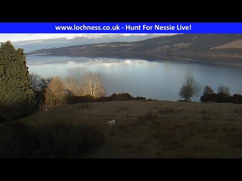 Loch Ness Monster Live Cam by Nessie on the Net!