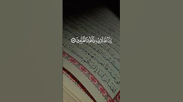 سعد الغامدي سورة المائدة اية 51