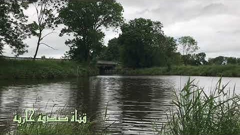 سورة الكهف و سورة مريم و سورة طه القارئ احمد النفيس Surat Al-Kahf, Surat Maryam, and Surat Taha