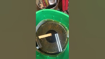 Part 2 Evapo -Rust vs rusty fly wheel￼