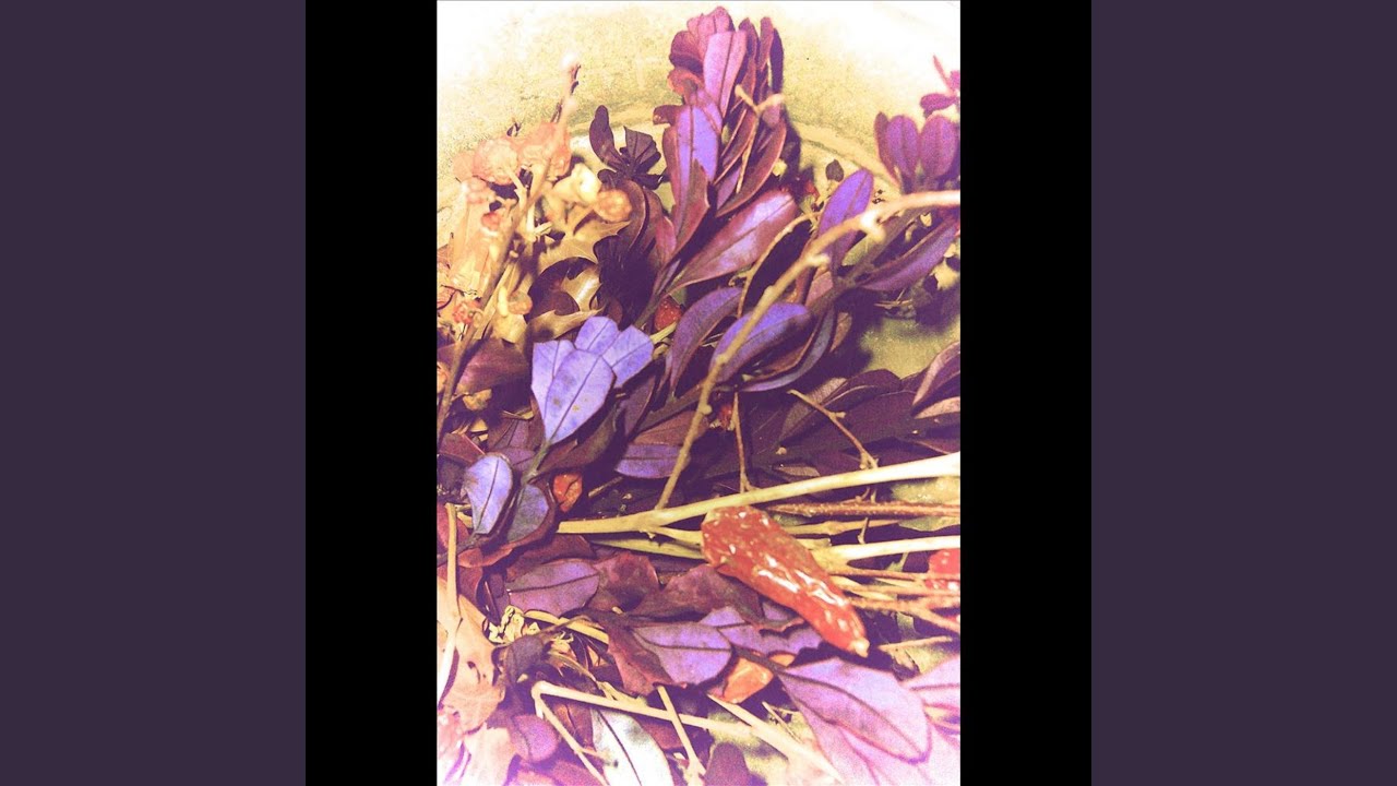 Obejrzyj Wake w YouTube Obejrzyj Wake w YouTube