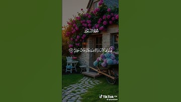 القرآن الكريم صوت جميل 💚 #اكسبلور #كلجديد #المصحف #راحة_نفسية #لايك