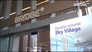 Seamless Working Experience at Bridge+ 79 Robinson Road