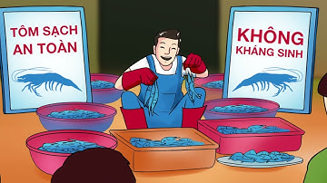 🔥KHÁNG THUỐC - CHUYỆN CHƯA KỂ!🔥 TẬP 2: Cơ chế của kháng sinh và 6 bước sử dụng kháng sinh hiệu quả.