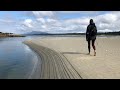 A Gruesome Surprise at Wickaninnish Beach in Tofino BC