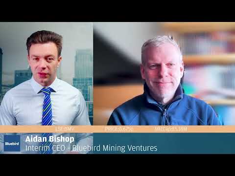 Bluebird Mining Ventures Plan to Monetise Gold Assets #bmv