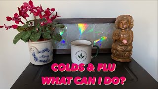 COLD & FLU SEASON - WHAT CAN I DO? by Wendy Gilker 250 views 2 years ago 34 minutes