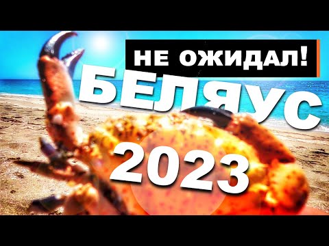 Беляус 2023 🔴ТАКОГО Я НЕ ОЖИДАЛ! закрыт ли пляж Крымские Мальдивы? БУДЬТЕ АККУРАТНЫ! Капитан Крым