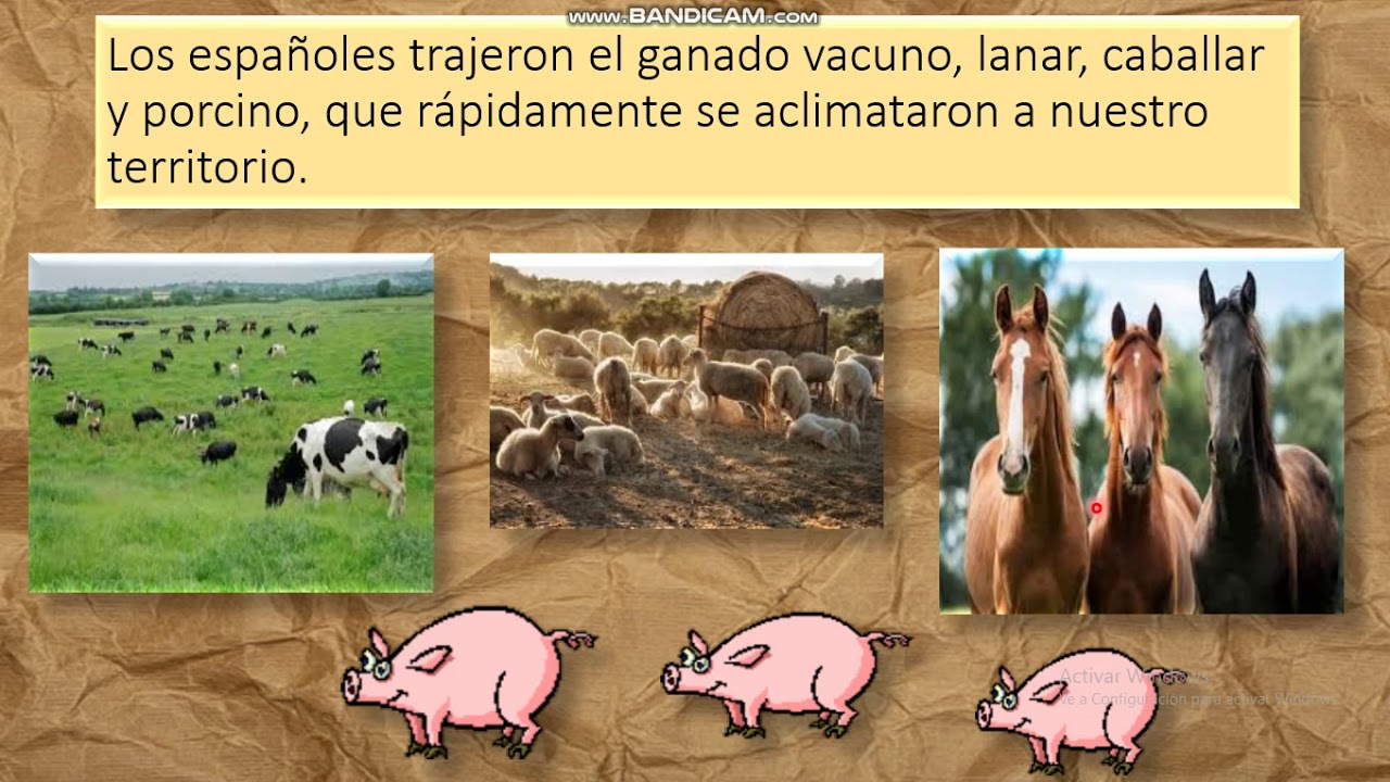 Actividades econòmicas en el virreinato peruano II - YouTube