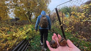 Осіння риболовля, нові місця та трішки пригод