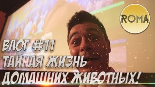 ТАЙНАЯ ЖИЗНЬ ДОМАШНИХ ЖИВОТНЫХ! ОТЗЫВ! | РОМА! ДНЕВНИК ВЕДУЩЕГО #11 ТАЙНАЯ ЖИЗНЬ ДОМАШНИХ ЖИВОТНЫХ! ОТЗЫВ! | РОМА! ДНЕВНИК ВЕДУЩЕГО #11
