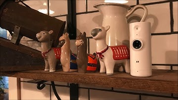 DLink mini HD Wi Fi Camera blogger review