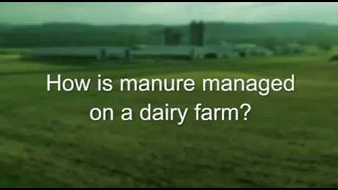 How is manure managed on a dairy farm?