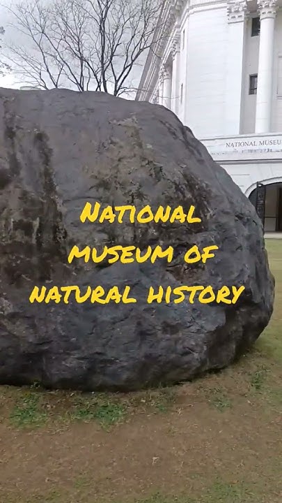 natural-museum-of-natural-history-shorts-kalaw-metro-manila-youtube
