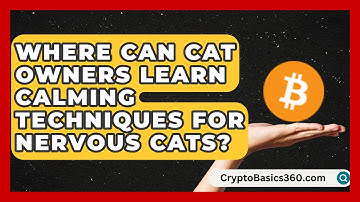 Where Can Cat Owners Learn Calming Techniques for Nervous Cats? | Happy Cat Handbook