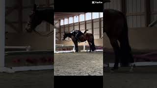 Totally Didnt Get Stuck Trying To Dismount- Sorry Z