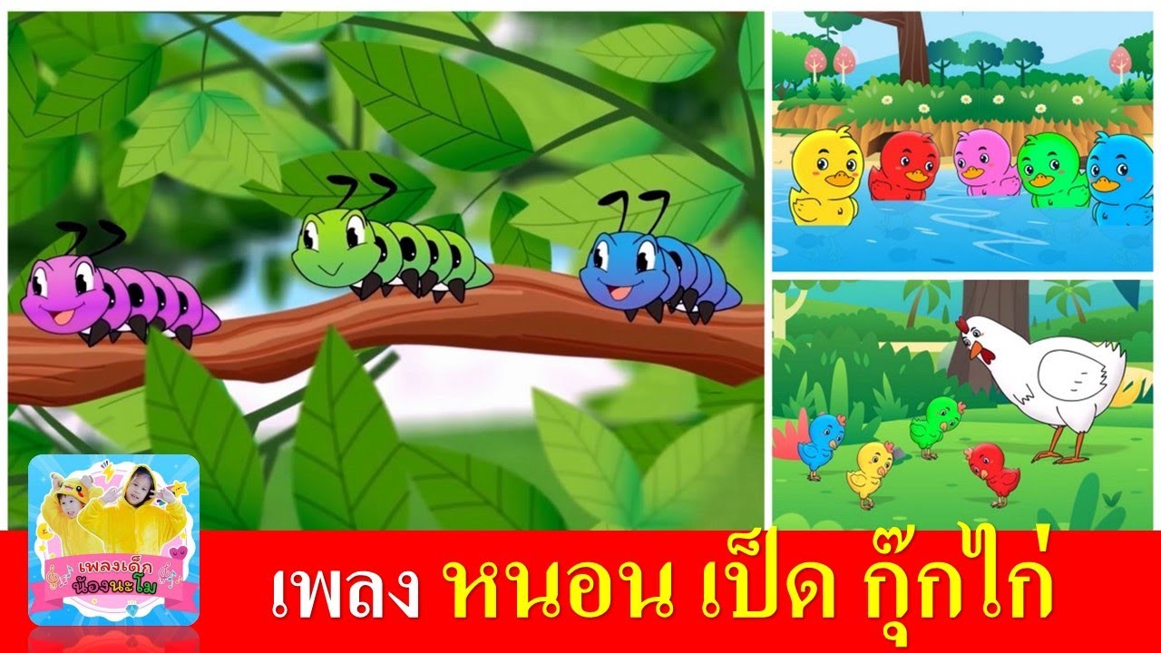 เพลงเด็กอนุบาล หนอน เป็ด กุ๊กไก่ | หนอนผีเสื้อ | เป็ดก้าบก้าบ | ไก่กุ๊กกุ๊กไก่