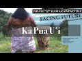 Miniature de la vidéo de la chanson Ka Pua Uʻi