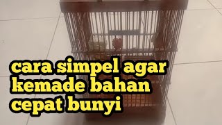 cara simpel mudah ??! agar  burung kemade bahan cepat bunyi  ngalas