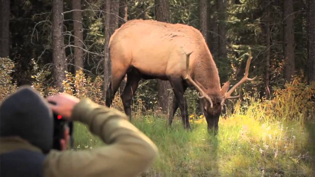 Nick Saxon. ShowReel