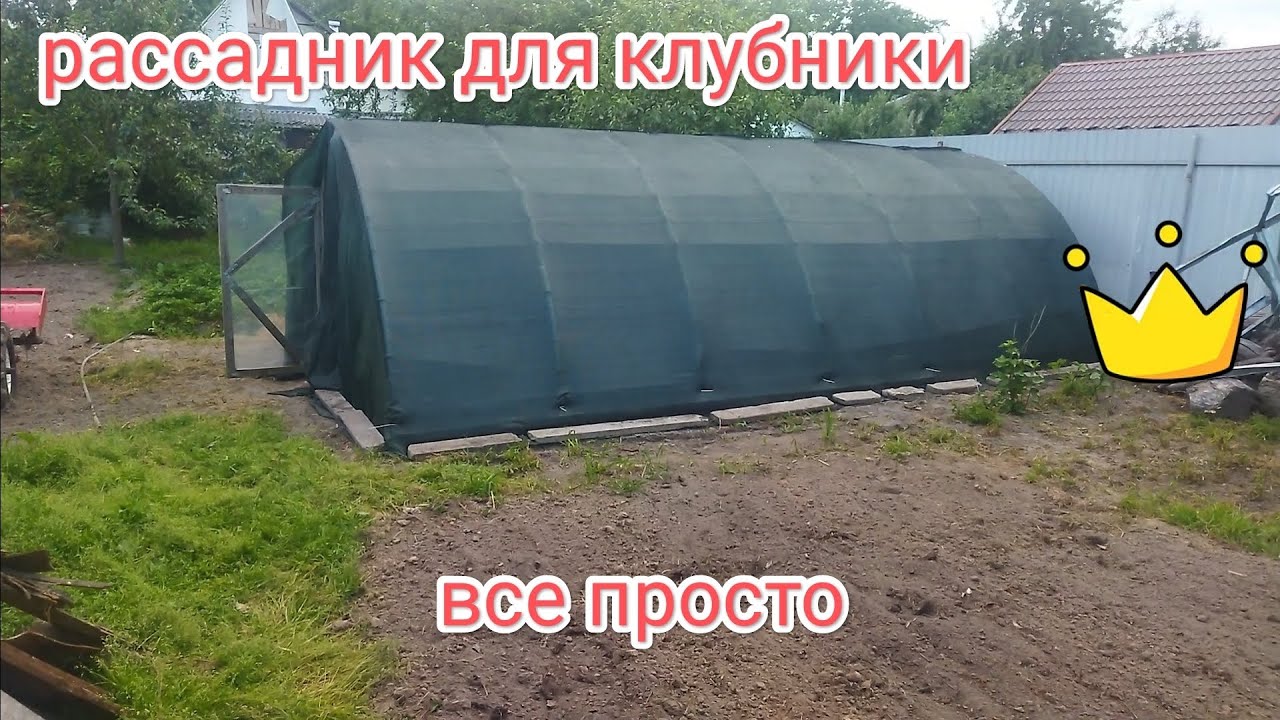 Рассадник для клубники без фогеров