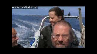 Sharks Great Whites In Great Britain WS PDTV XviD