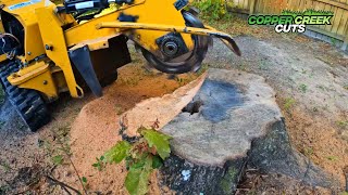 First Time Using A Stump Grinder Goes As Well As You Think It Would