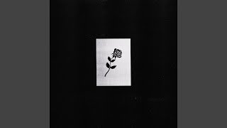 Ten Days of Falling