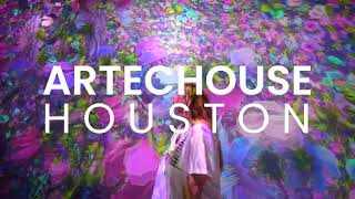 BEST IMMERSIVE IN HOUSTON