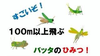 全国こども科学映像祭受賞作品 (100)H28年度第15回佳作中学生部門 