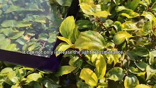 Why Its Purple Light On This Panel? The Secret Is Pcap Touch Panel With Ar Technology