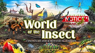 Zoo Tours: World of the Insect | Cincinnati Zoo & Botanical Garden