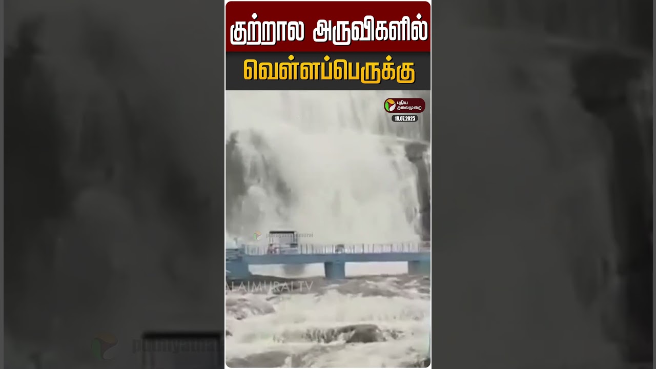 குற்றால அருவிகளில் வெள்ளப்பெருக்கு | Kutralam