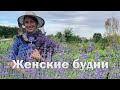 Женские будни//Собираю урожай//заготавливаю травы//сад цветет