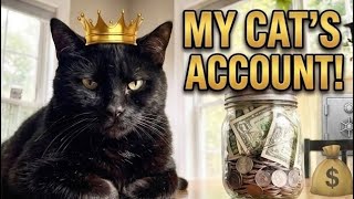 Giving My Cat His Own Bank Account